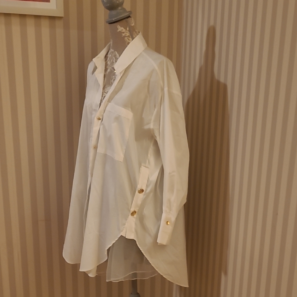 Zara Elegant Cream Button-Down Blouse - Picture 5 of 5